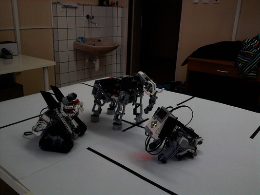 Robotika na ZŠ náměstí Míru v Novém Boru