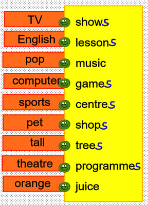 Adjectives, nouns, plurals