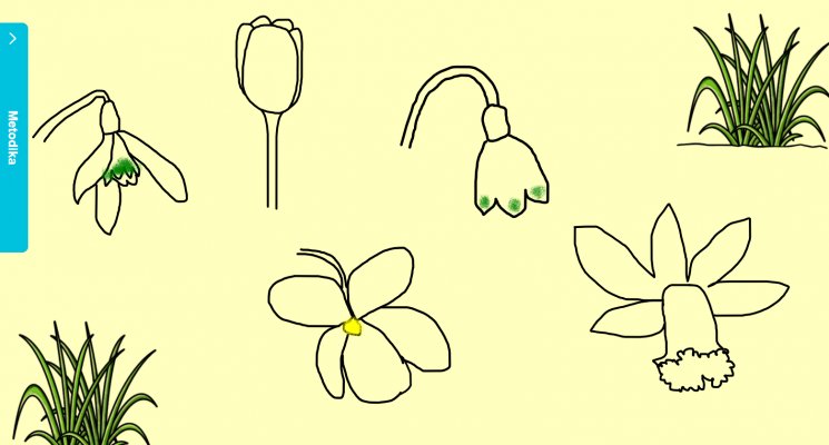 Jarní květiny - omalovánka